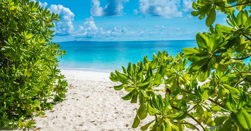 Koh Tachai Thailand Beach Similan National Park