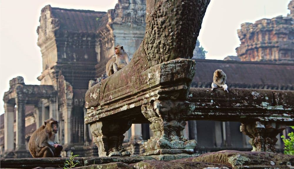 Angkor wat kambodsha