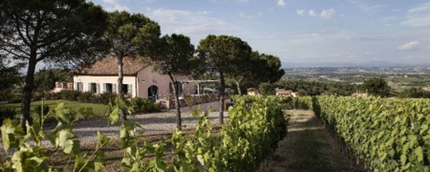 SAPIO Croce di Febo Montepulciano wine