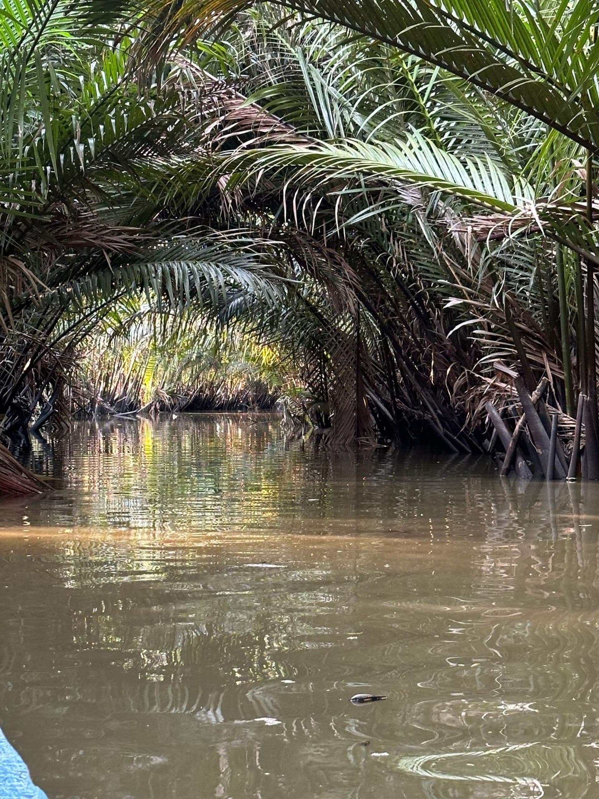 Un arroyo à Ben tre