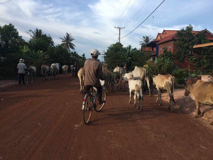 Kok Sangke Village4