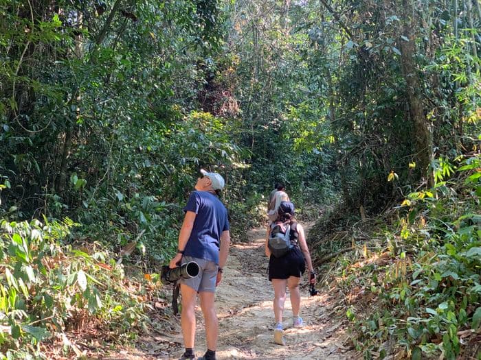 Primary forest exploration